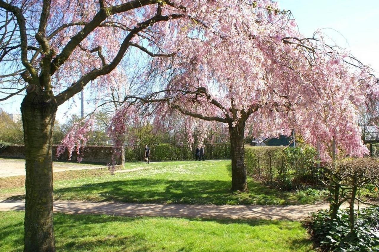 Maison De Longde-Appartement Avec 2 Chambres Villejuif Eksteriør bilde
